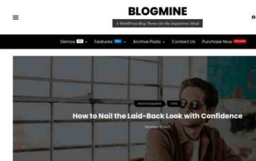 Blogmine Pro (screenshot desktop)