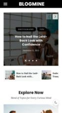Blogmine Pro (screenshot mobile)