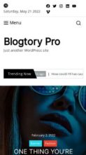 Blogtory Pro (screenshot mobile)