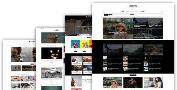 Blogvy Pro (UnfoldWP)