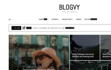 Blogvy Pro (screenshot desktop)