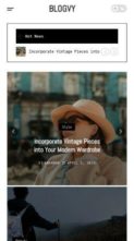 Blogvy Pro (screenshot mobile)