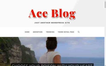 Ace Blog (screenshot desktop)