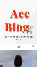 Ace Blog (screenshot mobile)