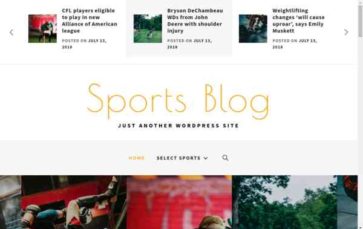 Sports Blog (screenshot desktop)
