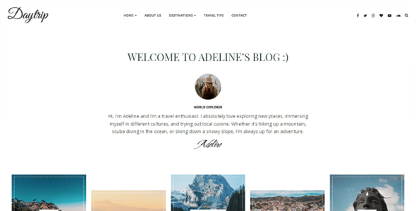 Daytrip Pro (VineThemes)