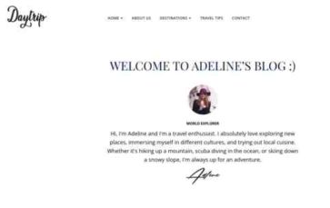 Daytrip Pro (screenshot desktop)