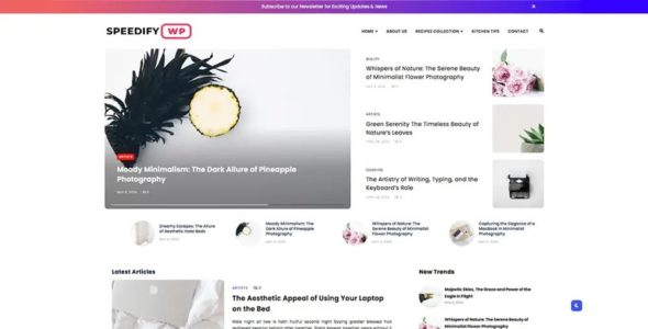 Speedify Premium (VineThemes)