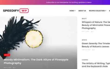 Speedify Premium (screenshot desktop)