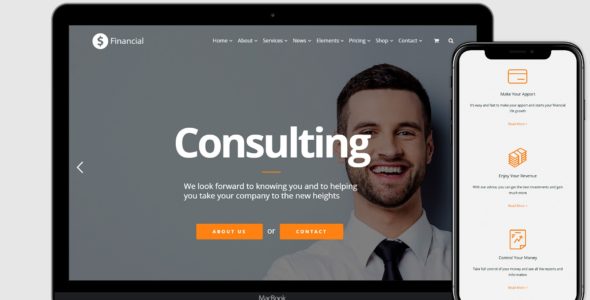 Financial (Visualmodo)