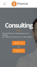 Financial (Visualmodo) (screenshot mobile)