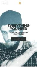 Seller (Visualmodo) (screenshot mobile)