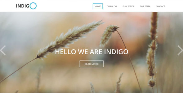 Indigo (Viva Themes)