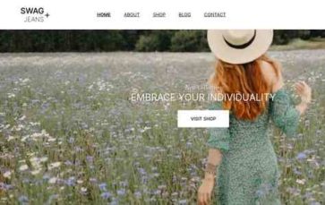 Swag (Viva Themes) - (screenshot desktop)