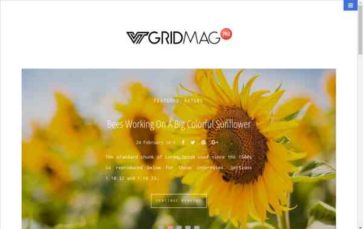 Screenshot Desktop VT Grid Mag Pro (screenshot desktop)