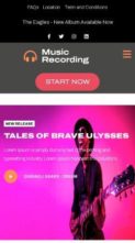 Musician Band Artist Pro (screenshot mobile)