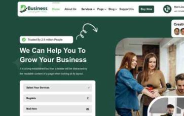 VW Business Consulting Pro (screenshot desktop)