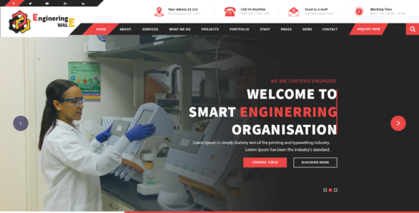 VW Engineer Pro (VWThemes)