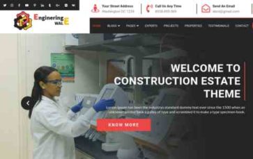 VW Engineer Pro (screenshot desktop)