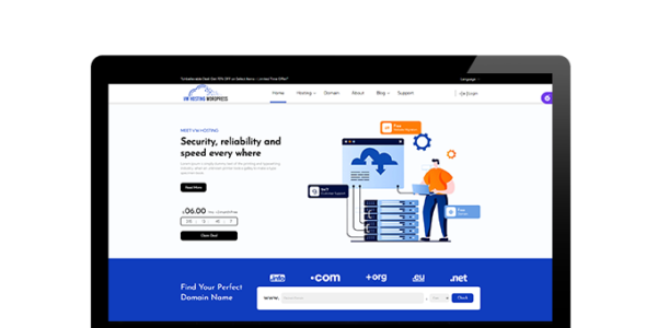 VW Hosting Services Pro (VWThemes)