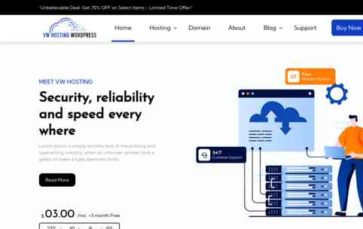 VW Hosting Services Pro (screenshot desktop)