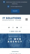 VW IT Solution Pro (screenshot mobile)