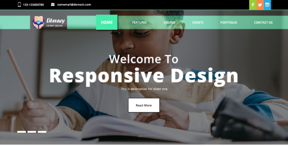 VW Literacy Program Pro (VWThemes)