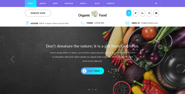 VW Organic Food Pro (VWThemes)