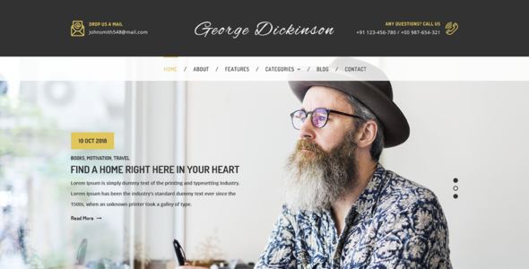 VW Writer Pro (VWThemes)