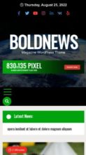 BoldNews Pro (screenshot mobile)