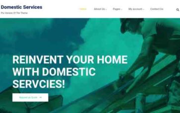 Domestic Services Pro (screenshot desktop)
