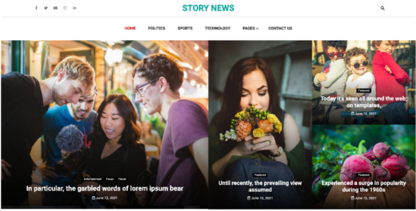 Story News Pro (WalkerWP)