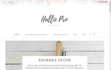 Hallie Pro (screenshot desktop)