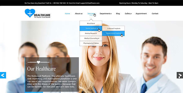 Healthcare Premium (Weblizar)