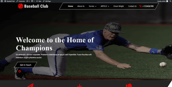 Baseball Pro (Webnotick)