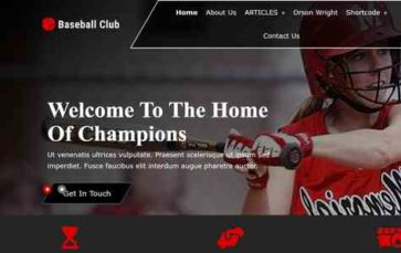 Baseball Pro (screenshot desktop)