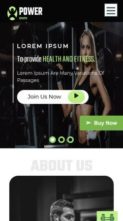 Prime Fitness Gym (screenshot mobile)
