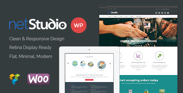 Netstudio (Webnus)