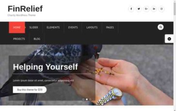 FinRelief Pro (screenshot desktop)