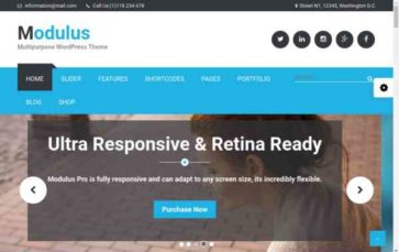 Modulus Pro (screenshot desktop)