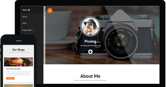 Picolog Pro (Webulous)