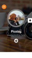 Picolog Pro (screenshot mobile)