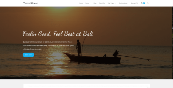 Travel One (WEN Solutions)