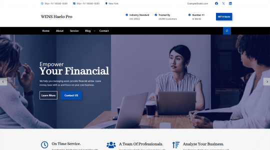 Wens Haelo Pro (WEN Solutions)