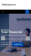Wens Haelo Pro (screenshot mobile)