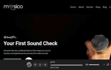 WENS Musico Pro (screenshot desktop)