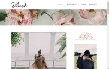 Blush (Wild Notion Creative) (screenshot desktop)
