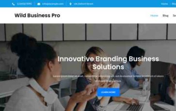 Wild Business Pro (screenshot desktop)