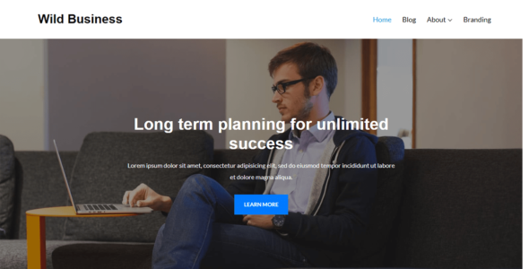 Wild Business (Wild Themes)