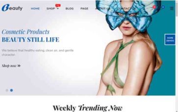 Beauty (WooVina) (screenshot desktop)